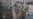 Tests Show Arafat May Have Been Poisoned
