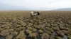 Lagune d’Aculeo à Paine, Chili, 14 mai 2018. (Photo Reuters/Matias Delacroix) 