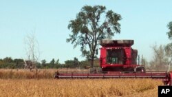 FILE - A farmer harvests a field of soybeans near Sioux Falls, South Dakota. 