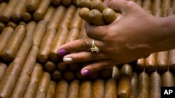 ARSIP - Seseorang yang bertugas menyeleksi cerutu di pabrik cerutu H. Upmann di Havana, Kuba, 2 Maret 2017 (foto: AP Photo/Ramon Espinosa)