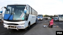 Botswana-Zimbabwe buses