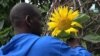 Ron Finley has gained famed as a guerrilla or "gangsta" gardener for his efforts to beautify unused strips of public land. Local officials now support the effort.