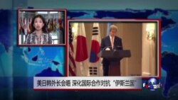 VOA连线：美日韩外长会晤 深化国际合作对抗“伊斯兰国”