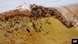 Загрязненные воды Мексиканского залива, после аварии платформы Deepwater Horizon в 2010 году. Орандж-Бич, Алабама