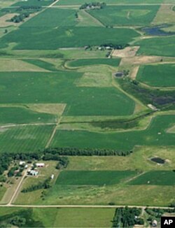 The EcoSun Prairie Farm – seen here before being restored with native grasses – was an active corn and soybean farm for more than a century