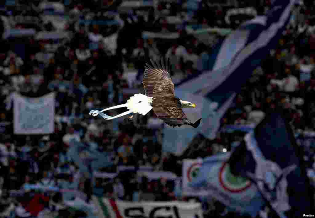 Lazio&#39;s mascot, a white headed eagle called Olimpia, flies before the start of the Italian Serie A soccer match against Empoli at the Olympic stadium in Rome.
