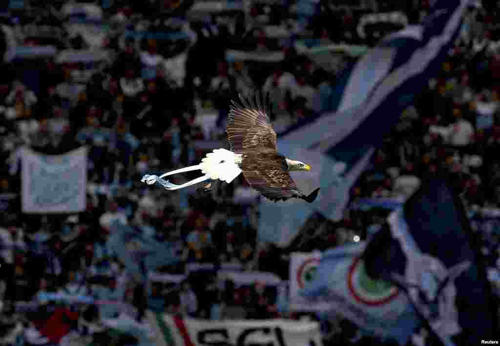 Lazio's mascot, a white headed eagle called Olimpia, flies before the start of the Italian Serie A soccer match against Empoli at the Olympic stadium in Rome.