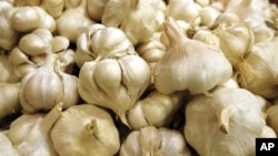 Harga bawang putih melonjak dari Rp 10.000 per kilogram menjadi sampai Rp 80.000 per kilogram akhir-akhir ini. (Foto: Dok)