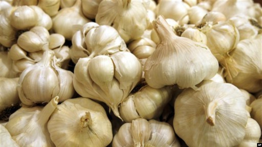 Harga bawang putih melonjak dari Rp 10.000 per kilogram menjadi sampai Rp 80.000 per kilogram akhir-akhir ini. (Foto: Dok)