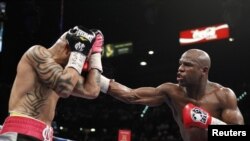 Floyd Mayweather Jr trong trận đấu với Miguel Cotto