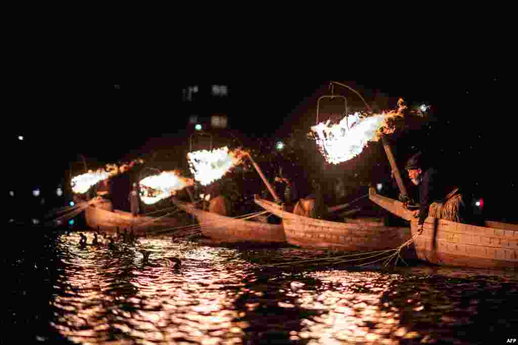 Cormorant masters use their birds to catch sweetfish in Gifu, Japan.