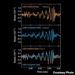 These plots show the signals of gravitational waves detected by the twin LIGO observatories at Livingston, Louisiana, and Hanford, Washington. The signals came from two merging black holes, each about 30 times the mass of our sun, lying 1.3 billion light-years away.