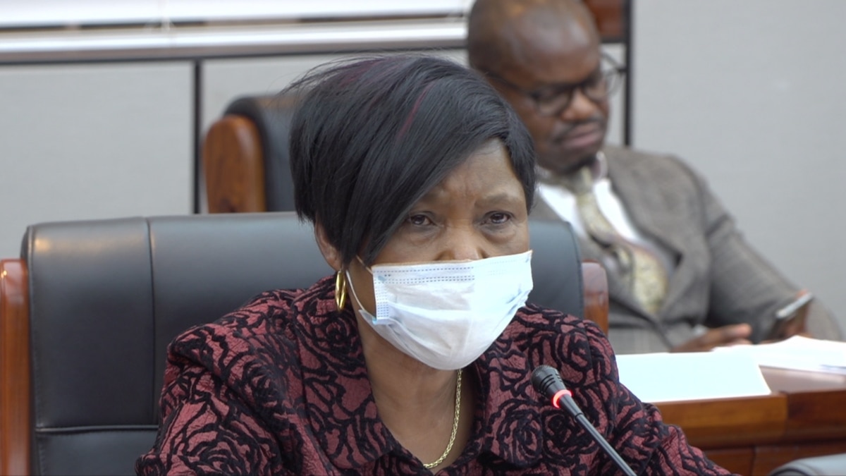 Zimbabwe Minister Accuses China of Manufacturing COVID-19