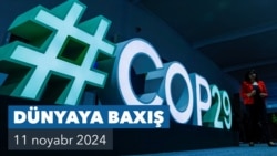 Dünyaya Baxış. Bakıda COP29 işinə başlayıb
