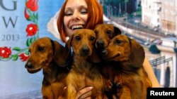 Seorang perempuan bersama anjing-anjing Daschund miliknya yang menang kompetisi dunia di Budapest. (Foto: Dok)