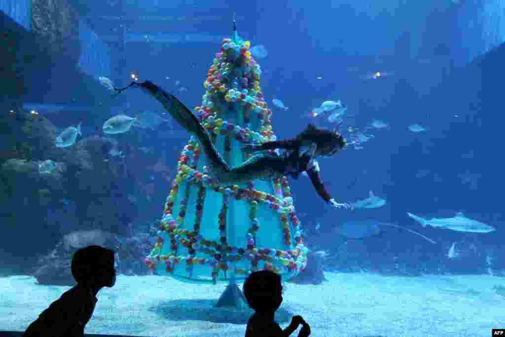 Para pengunjung menyaksikan seorang penyelam berpakaian &quot;putri duyung&quot; berenang melewati pohon Natal di Akuarium Jakarta pada musim liburan Natal dan Tahun Baru. (Foto: Dasril Roszandi / AFP)