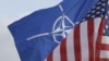 Палата представників висунула резолюцію про підтримку принципу НАТО про взаємну оборону