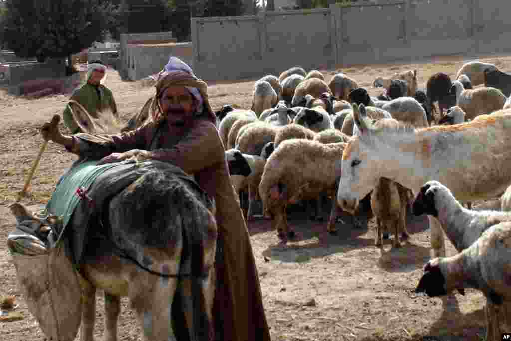 The traditional way of life in Mit Rahina helps boost conservative parties at the polls. (VOA-E.Arrott)