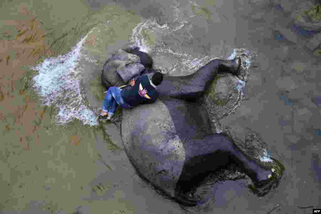 A mahout bathes a Sumatran elephant in a river at Trumon animal corridor in Leuser ecosystem area, Southern Aceh province, Indonesia.