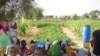 Mauritanian Refugees Adopt Farming Project in Senegal