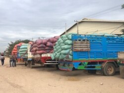 FILE: Trucks loaded with paddy rice parked outside rice mill in Pursat province, December 2019 (Sun Narin/VOA Khmer)