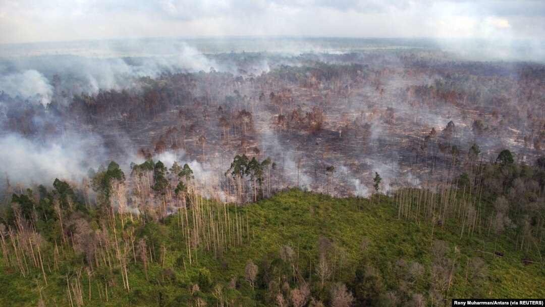 Foto udara kebakaran hutan yang terjadi di dekat desa Bokor, Kabupaten Kepulauan Meranti, Provinsi Riau (foto: ilustrasi). 