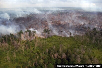 Tampak udara kebakaran hutan yang terjadi di dekat desa Bokor, Kabupaten Kepulauan Meranti, Provinsi Riau, 15 Maret 2016. (Foto: Rony Muharrman/Antara Foto via REUTERS)