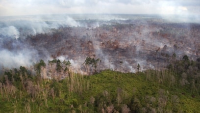 Penampakan dari udara kebakaran hutan yang terjadi di dekat desa Bokor, Kabupaten Kepulauan Meranti, Provinsi Riau, 15 Maret 2016. (Foto: Rony Muharrman/Antara Foto via REUTERS) 