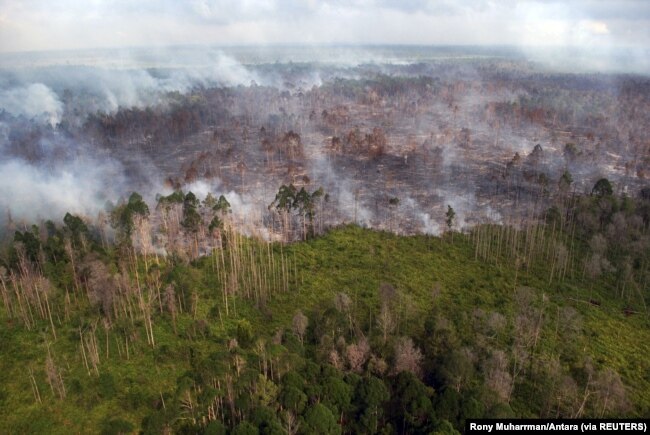 Tampak udara kebakaran hutan yang terjadi di dekat desa Bokor, Kabupaten Kepulauan Meranti, Provinsi Riau, 15 Maret 2016. (Foto: Rony Muharrman/Antara Foto via REUTERS)