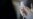 Moderna Says New Vaccine Shows Promise