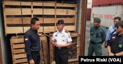 KLHK dan Bakamla menunjukkan barang bukti kayu eboni yang diamankan di Surabaya asal Sulawesi Tengah tujuan ekspor. (Foto:VOA/Petrus Riski).