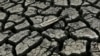 Study: California Drought Natural, Not Man-Made