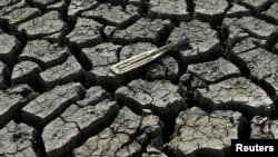 FILE - A boat paddle is shown on the bottom of the nearly dry Almaden Reservoir near San Jose, California, January 21, 2014. 