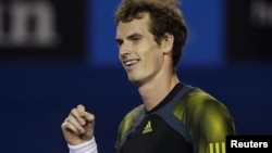 Petenis Inggris Andy Murray dalam pertandingan semifinal melawan Roger Federer pada Australia Terbuka Januari 2013. (Reuters/Damir Sagolj)