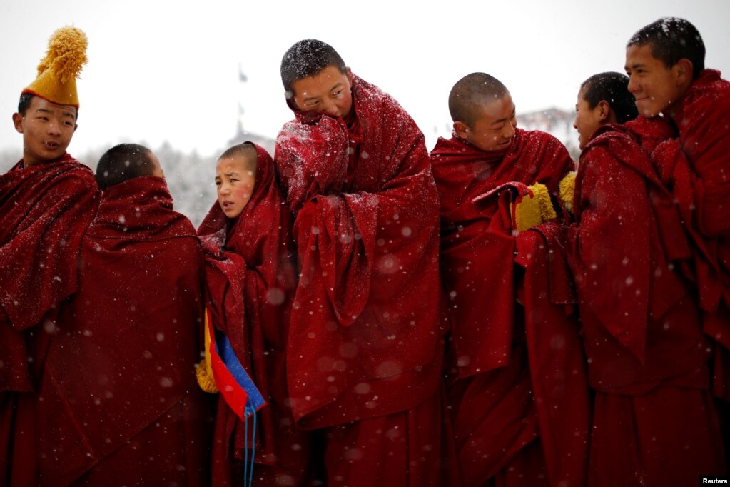 ߱   ƼƮǪ   &quot; δ 佺Ƽ(Sunbathing Buddha Festival) · ߴ.&nbsp;