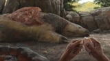 This illustration provided by researchers depicts a person carving an osteoderm from a giant sloth in Brazil about 25,000 to 27,000 years ago. (Júlia d'Oliveira via AP)
