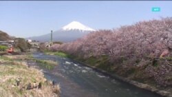 Настоящее Время. Америка – 19 апреля 2019