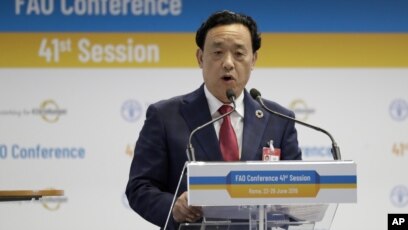 中国农业部官员屈冬玉当选新一任联合国粮农组织总干事