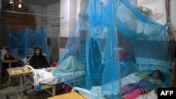 کراچی کے ایک اسپتال میں ڈینگی کے مریضوں کا علاج کیا جا رہا ہے۔ 