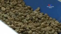 SHORT VIDEO: Սուրճը Ուգանդայում