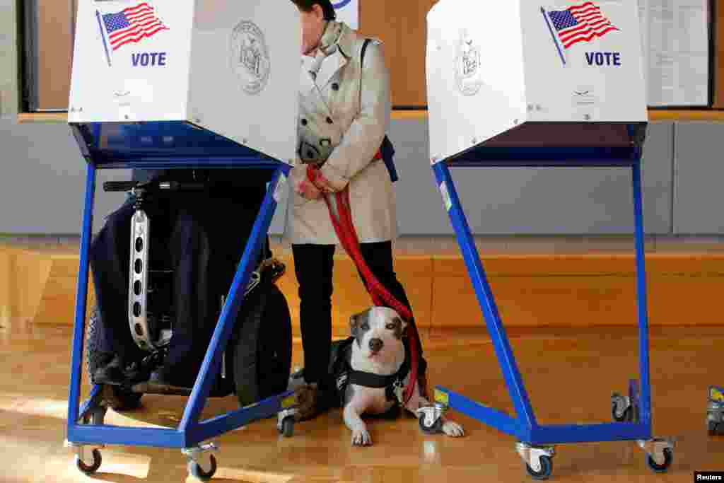 Picasso the pit bull waits as its owner George Gallego fills out his ballot with his wife Julia Gallego during voting for the U.S presidential election at the James Weldon Johnson Community Center in the East Harlem neighborhood of Manhattan, New York, No