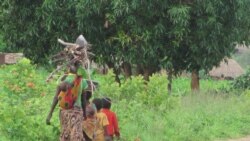 Renamo recomeça actividades normais em Manica