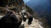 دولت نپال ۴۱۴ قله در رشته کوه هیمالیا، از جمله قله اورست را به روی گردشگران باز کرده است.