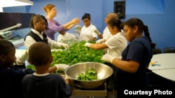 Catkin Flowers and her students harvest leafy greens from the school’s AeroFarms indoor growing lab. (Credit: Frank Mentesana)
