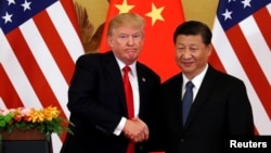 Donald Trump et Xi Jinping, Pékin, Chine, le 9 novembre 2017. 