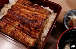 Unajyu is served at Hashimoto, a Michelin one-star unagi restaurant in Tokyo, Aug. 2, 2017. Known as "unajyu," the grilled "kabayaki" eel delicacy served on hot steaming rice in a neat lacquer box is what many Japanese people indulge in during the summer.