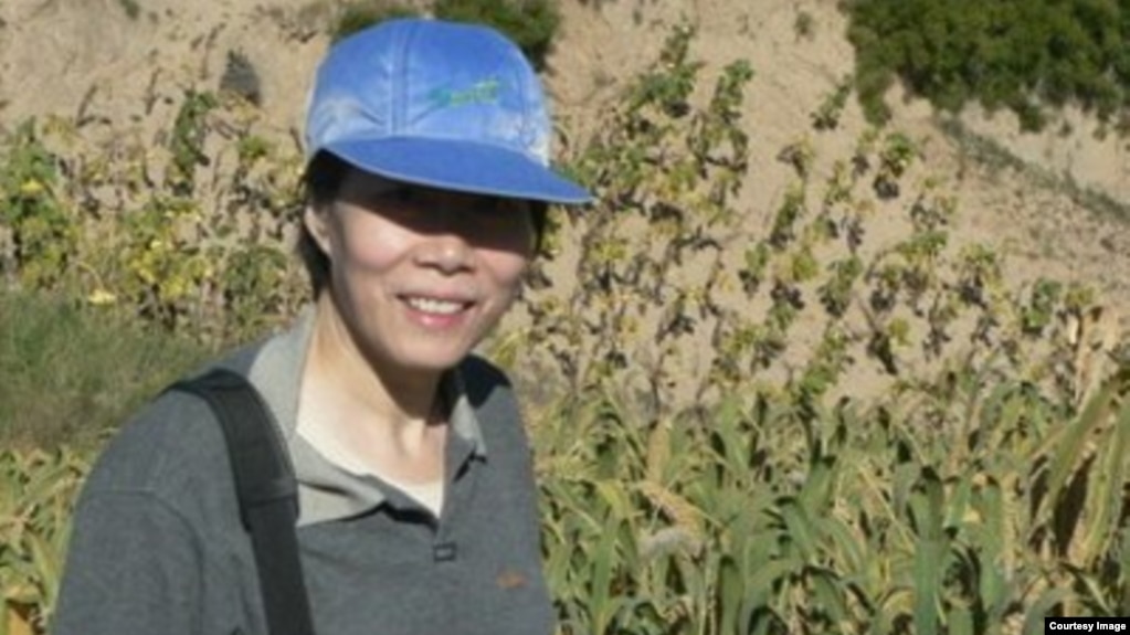 清华大学社会学系教授郭于华