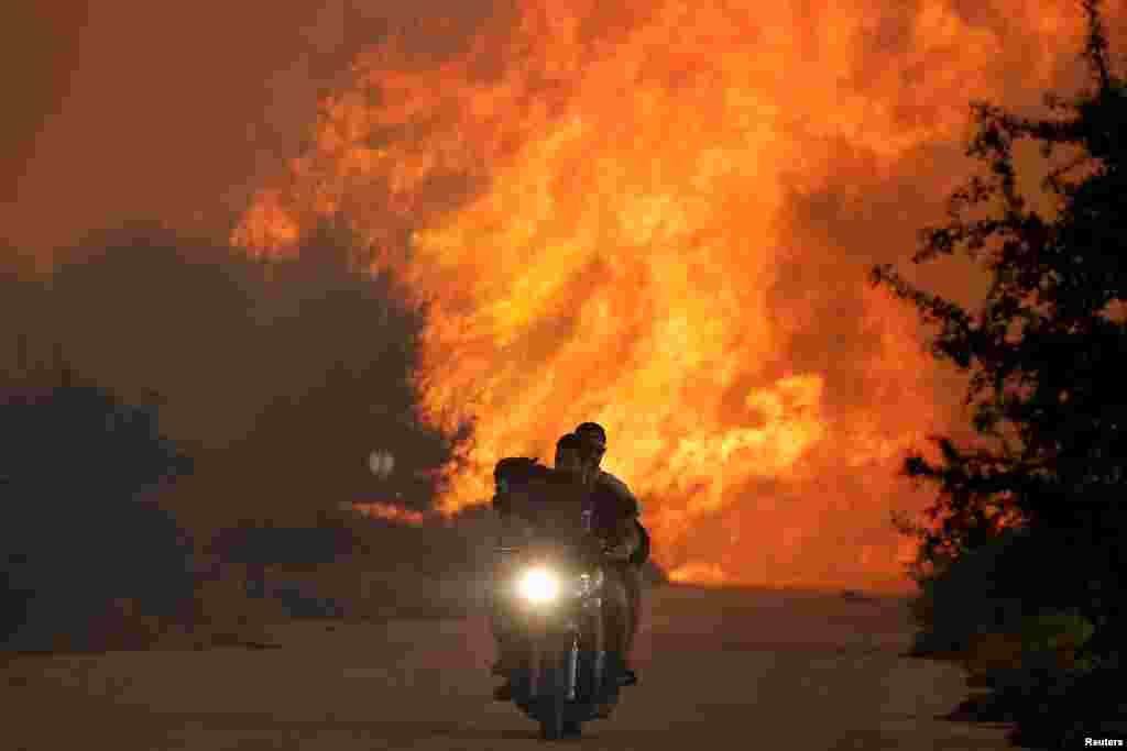 Two men and a dog on a motorbike flee a wildfire burning near the village of Varnavas, north of Athens, Greece.