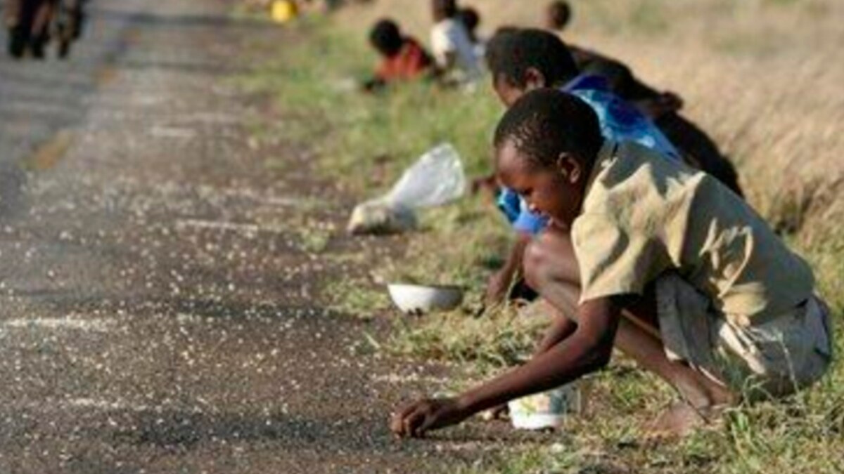 Zimstats Survey: 63% of Zimbabweans are Poor