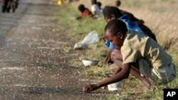 FILE - In this Dec. 14, 2008 file photo, children and their parents pick corn kernels spilled on the roadside by trucks ferrying corn imported from South Africa, in Masvingo 239 kilometers (148.5 miles) south of Harare.